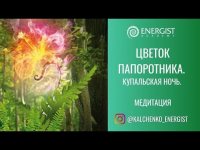 Медитация "Цветок папоротника" Медитация "Цветок папоротника"
