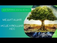 Медитация "Исцеляющий лес". Катерина Кальченко