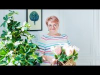 Энергетическая пятница - 17/04/2020 Энергетическая пятница - 17/04/2020