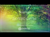 Медитация "Дерево силы" Медитация "Дерево силы"