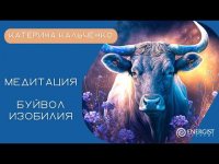 Полнолуние 28/11/23 - Медитация Полнолуние 28/11/23 - Медитация